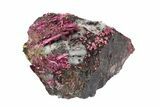 Vibrant, Magenta Erythrite Crystals - Morocco #93600-2